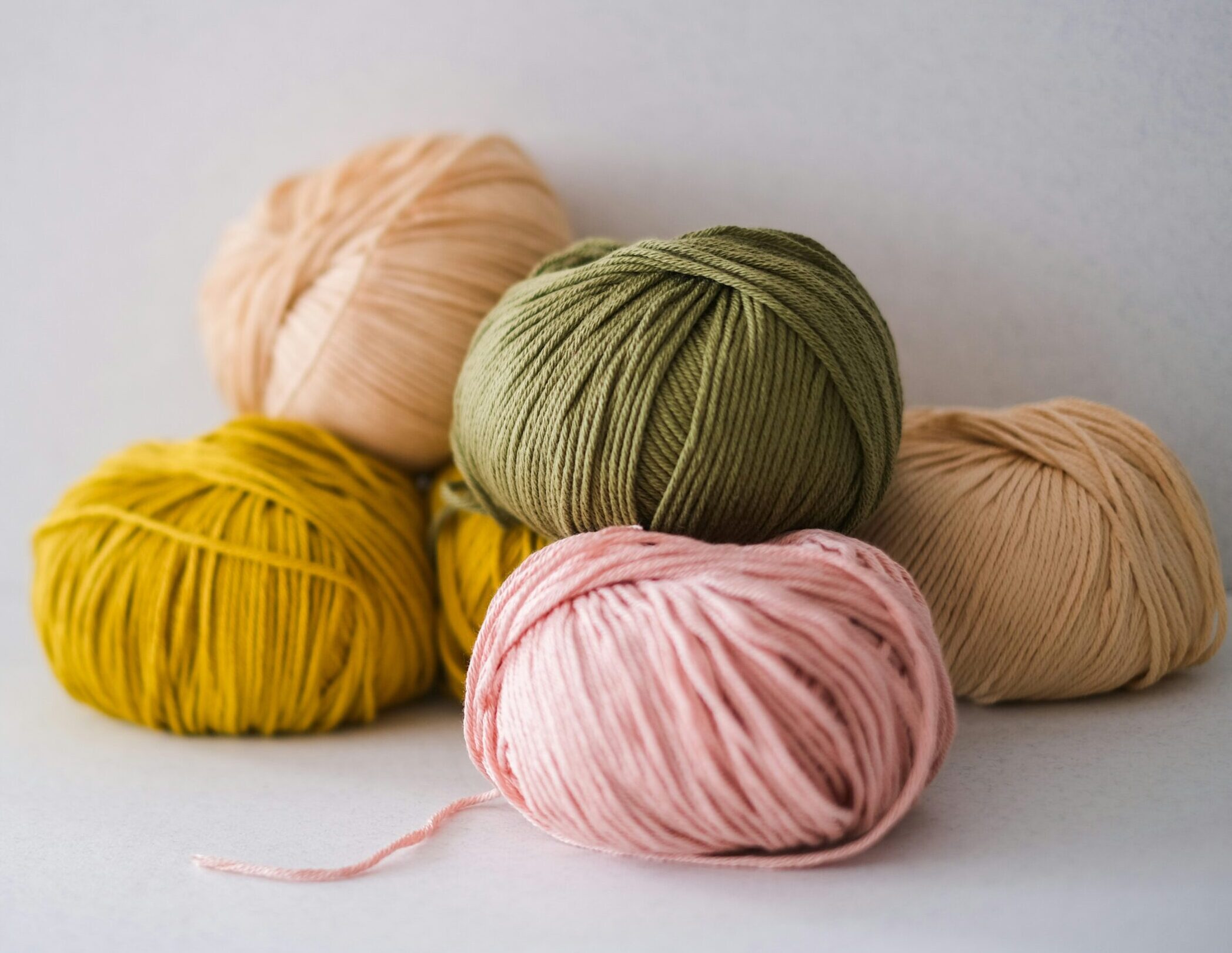 raelle cameron ehm wq ys7m unsplash